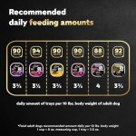 Cesar Wet Dog Food Steak Lovers Variety Pack