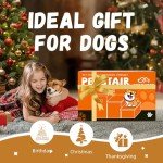 Zerbuger Folding Pet Stairs with Storage, Smoky Gray