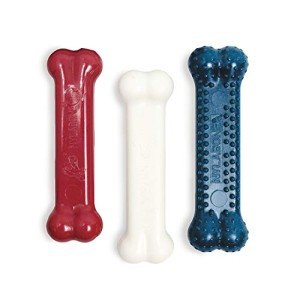 Nylabone Peanut Butter Power Chew Toy - 3 Pack