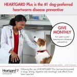 Heartgard Plus Chewables for Dogs 51-100 lbs