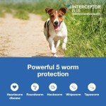 Interceptor Plus Chews for Heartworm & Worms 8.1-25 lbs