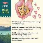 Freeze Dried Salmon Dog Treats - High Protein