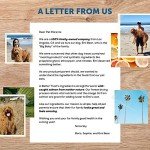 Freeze Dried Salmon Dog Treats - High Protein