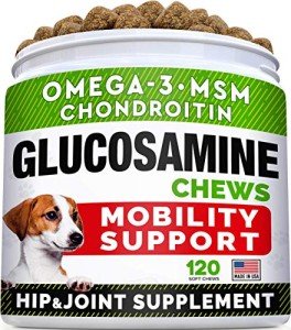 Chicken Flavor Joint Health Chews for Dogs - 120 Ct