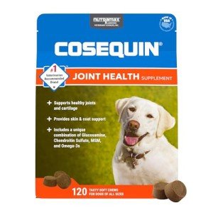 Cosequin Joint Health Chews for Dogs - 120 Pieces