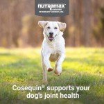 Cosequin Joint Health Chews for Dogs - 120 Pieces