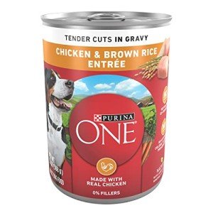 Purina ONE Tender Cuts Chicken & Rice Cans