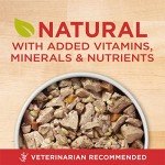 Purina ONE Tender Cuts Chicken & Rice Cans