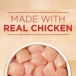 Purina ONE Tender Cuts Chicken & Rice Cans