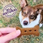 Old Mother Hubbard P-Nuttier Dog Treats, 3.3 lbs