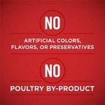Purina ONE Tender Cuts Chicken & Rice Cans
