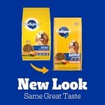 Pedigree Adult Dry Dog Food, Chicken & Veggies