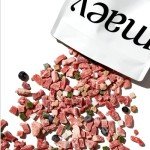 Maev Raw Dog Food: Lean Beef & Organ Meat