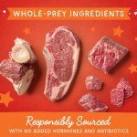 Stella & Chewy's Magical Beef Puppy Food Topper