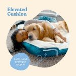 Ultra Comfy Orthopedic Dog Bed for Medium Dogs