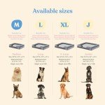 Ultra Comfy Orthopedic Dog Bed for Medium Dogs