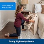 PetSafe CozyUp Folding Dog Stairs for Pets