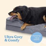 Ultra Comfy Orthopedic Dog Bed for Medium Dogs