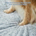 Orthopedic Waterproof Dog Bed for Large Dogs