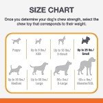 Nylabone Dental Chew Toy for Aggressive Chewers