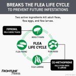 FRONTLINE Plus Flea and Tick Treatment for Cats