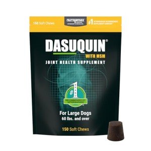 Nutramax Dasuquin Joint Supplement for Large Dogs