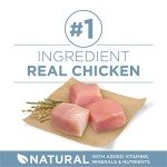 Purina ONE Plus Joint Health Dry Dog Food 16.5 lb