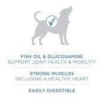 Purina ONE Plus Joint Health Dry Dog Food 16.5 lb