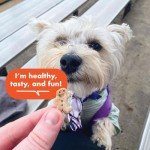 Teeny Crunchy Peanut Butter Dog Treats - 8 oz