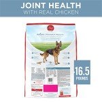 Purina ONE Plus Joint Health Dry Dog Food 16.5 lb