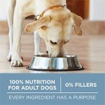 Purina ONE Plus Joint Health Dry Dog Food 16.5 lb