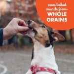 Teeny Crunchy Peanut Butter Dog Treats - 8 oz