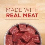 Purina ONE Beef & Barley Wet Dog Food 12-Pack