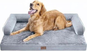 Orthopedic Memory Foam Dog Bed with Bolster