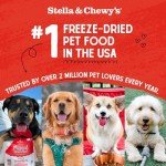 Stella & Chewy's Freeze-Dried Beef Meal Mixers