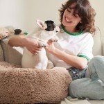 Cozy Donut Dog Bed for Medium Pets - 30