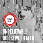 BIXBI Rawbble Freeze-Dried Beef Dog Food 12 oz