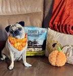 Tucker's Chicken & Pumpkin Raw Dog Food 14oz