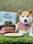 Tucker's Salmon & Pumpkin Freeze-Dried Dog Food