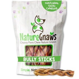 Braided Bully Sticks for Small & Medium Dogs