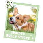 Braided Bully Sticks for Small & Medium Dogs