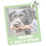 Braided Bully Sticks for Small & Medium Dogs