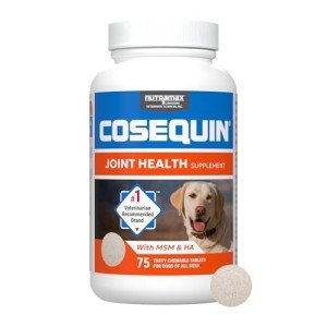 Nutramax Cosequin Joint Health Chews for Dogs