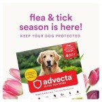 Advecta Ultra Flea and Tick Treatment for Dogs