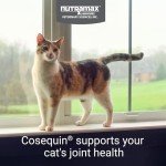 Nutramax Cosequin Joint Health Soft Chews for Cats