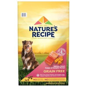 Nature’s Recipe Grain-Free Salmon & Sweet Potato Dog Food