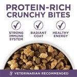 Purina ONE High Protein Senior Dog Food, 8 lb