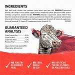 Purina Beyond Grain-Free Beef Wet Dog Food 12-Pack