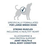 Purina ONE Large Breed Dry Dog Food 31.1 lb