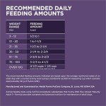 Purina ONE High Protein Senior Dog Food, 8 lb